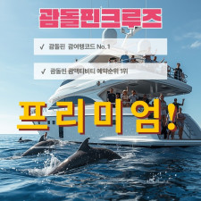 프리미엄 돌핀투어