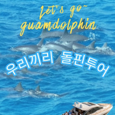 우리들만(프라이빗) 돌핀투어